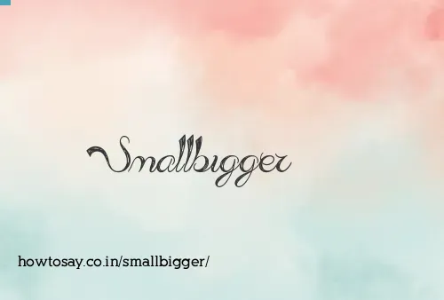 Smallbigger