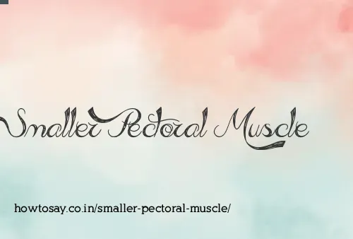 Smaller Pectoral Muscle
