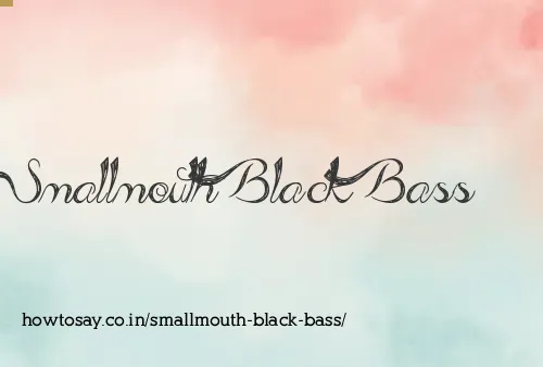 Smallmouth Black Bass