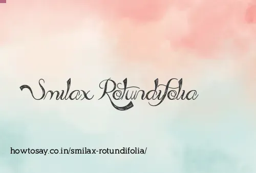 Smilax Rotundifolia