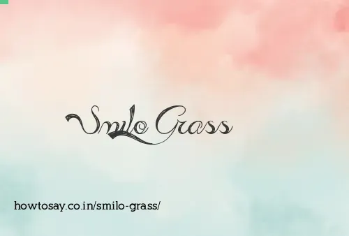 Smilo Grass