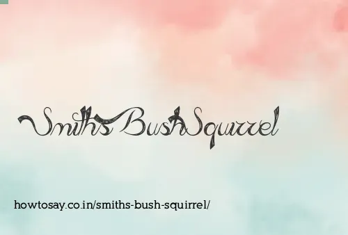 Smiths Bush Squirrel