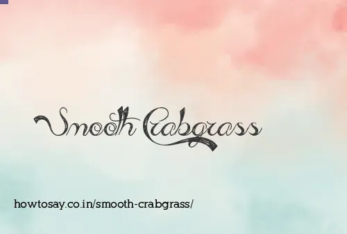 Smooth Crabgrass