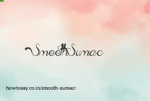 Smooth Sumac