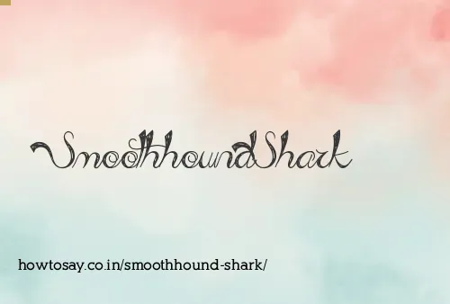 Smoothhound Shark