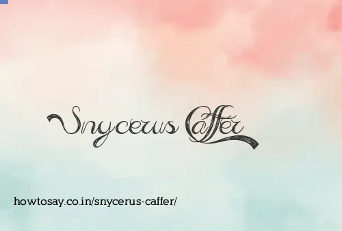 Snycerus Caffer