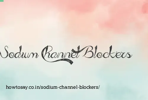 Sodium Channel Blockers