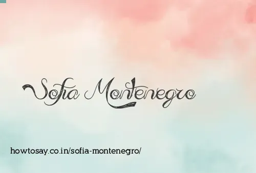 Sofia Montenegro