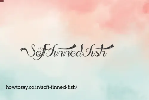 Soft Finned Fish