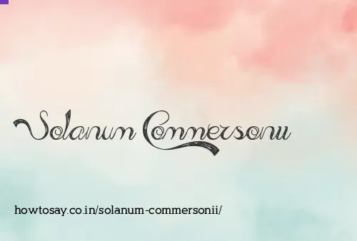Solanum Commersonii