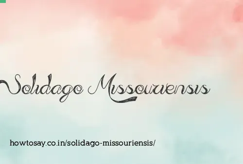 Solidago Missouriensis