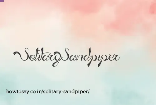 Solitary Sandpiper