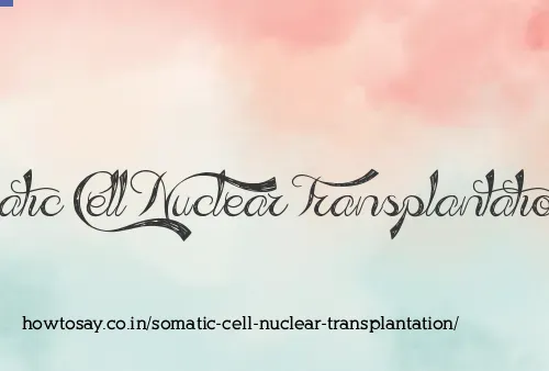 Somatic Cell Nuclear Transplantation
