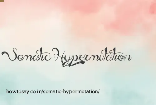 Somatic Hypermutation