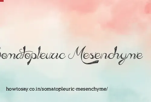 Somatopleuric Mesenchyme