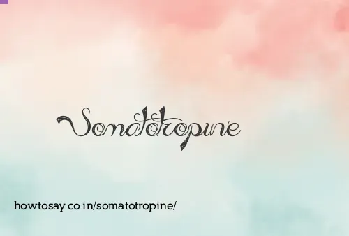 Somatotropine