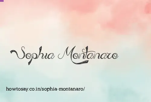 Sophia Montanaro