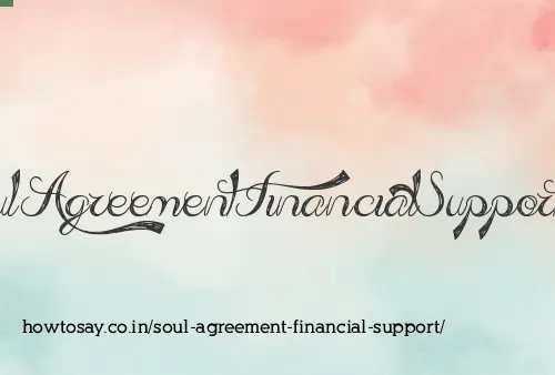 Soul Agreement Financial Support