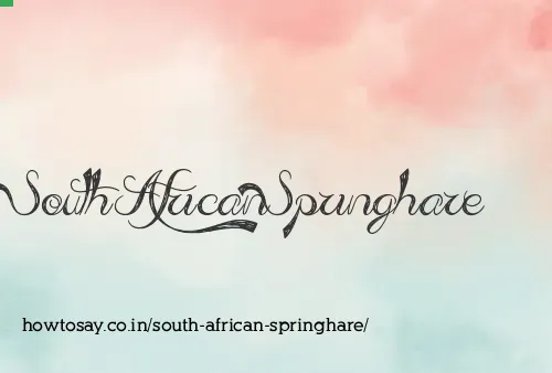 South African Springhare