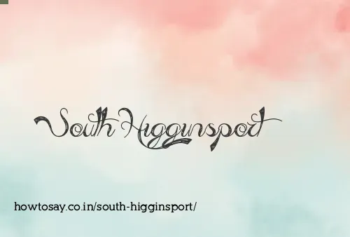 South Higginsport