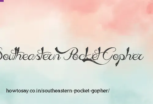 Southeastern Pocket Gopher
