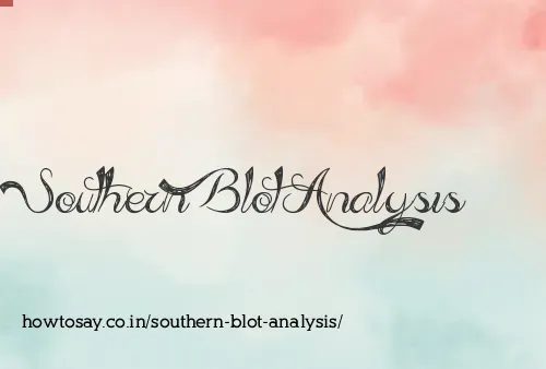 Southern Blot Analysis