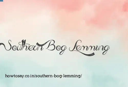 Southern Bog Lemming
