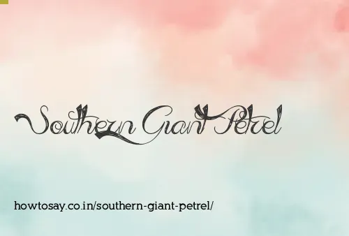 Southern Giant Petrel