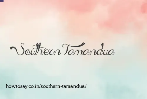 Southern Tamandua