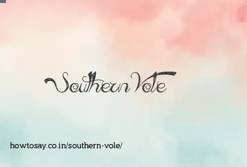 Southern Vole