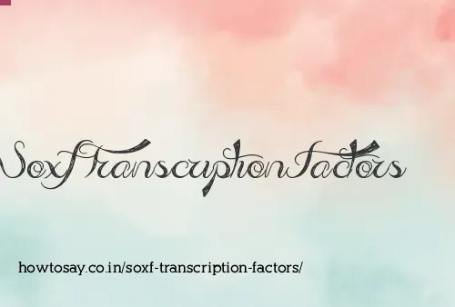 Soxf Transcription Factors