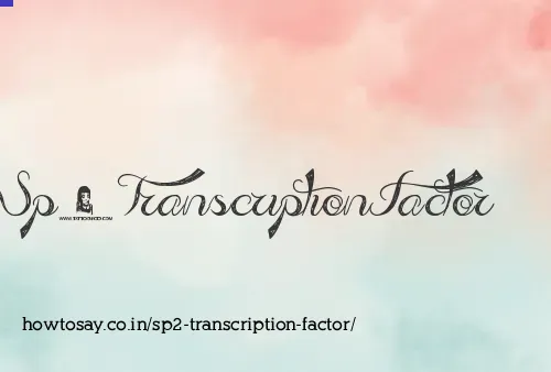 Sp2 Transcription Factor