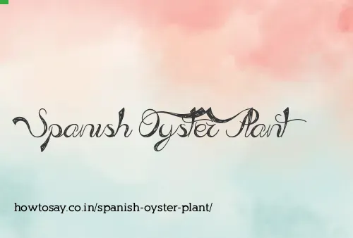 Spanish Oyster Plant