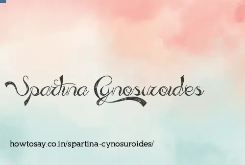 Spartina Cynosuroides