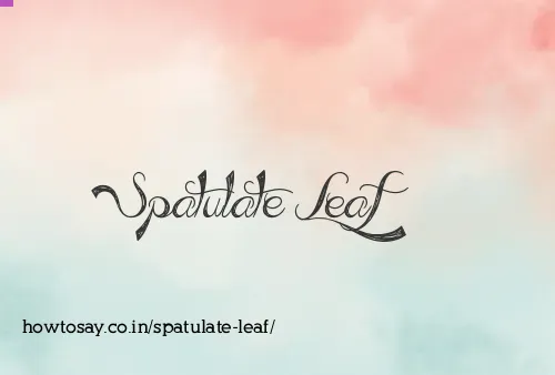 Spatulate Leaf