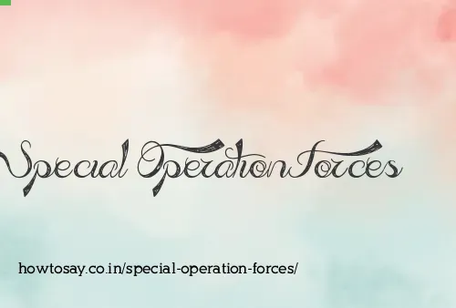 Special Operation Forces