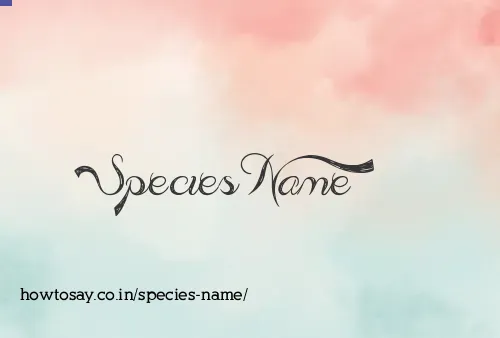 Species Name
