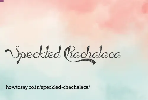 Speckled Chachalaca