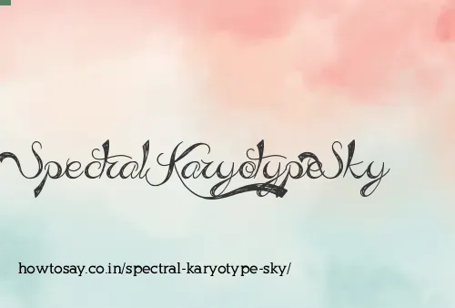 Spectral Karyotype Sky