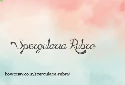 Spergularia Rubra