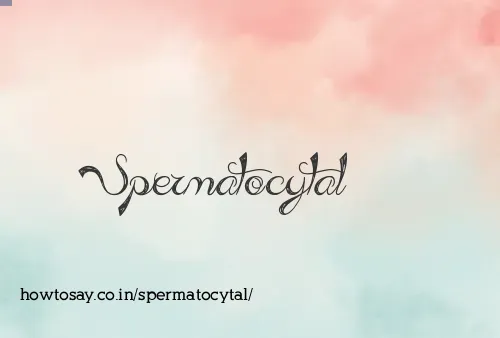 Spermatocytal