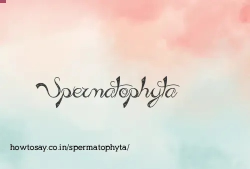 Spermatophyta