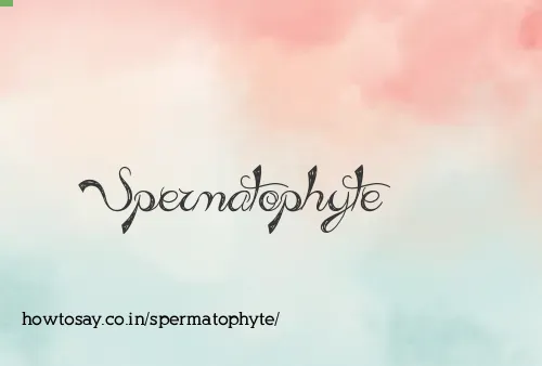 Spermatophyte