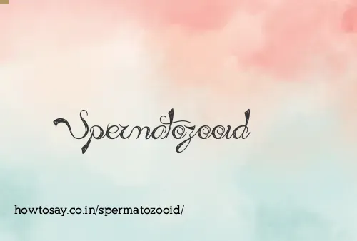 Spermatozooid
