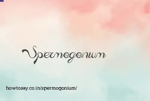 Spermogonium