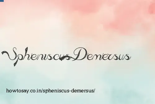 Spheniscus Demersus