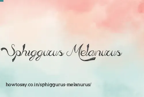 Sphiggurus Melanurus