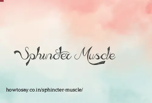 Sphincter Muscle
