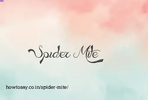 Spider Mite