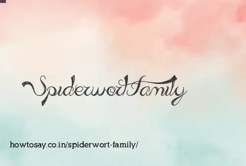 Spiderwort Family